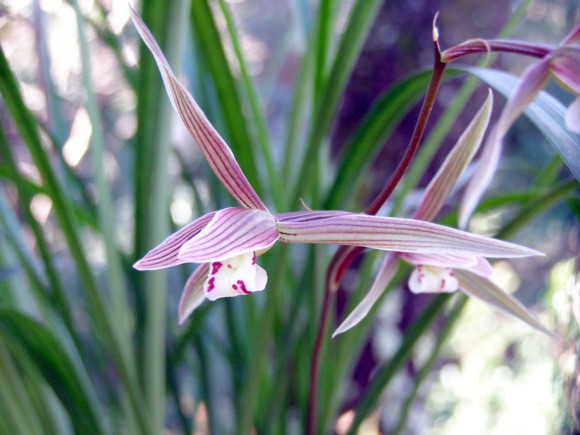 f0043750_2148019.jpg