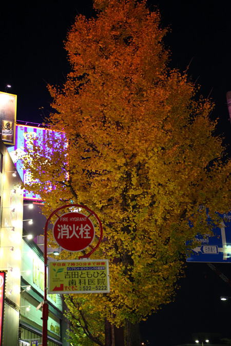 b0049152_1728549.jpg