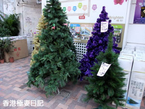f0190653_9541395.jpg