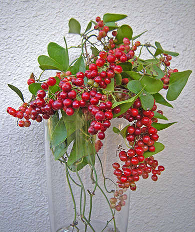 a0001354_2255750.jpg