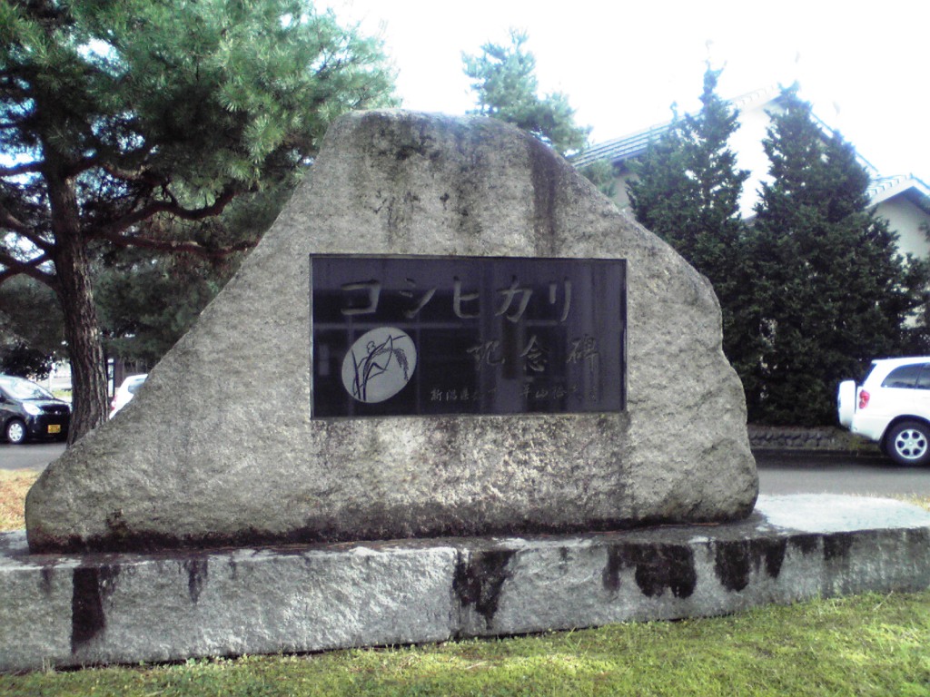 f0057955_2333676.jpg