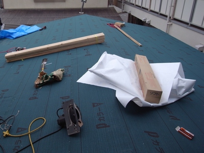c0166668_821876.jpg