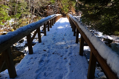 f0182173_9572074.jpg