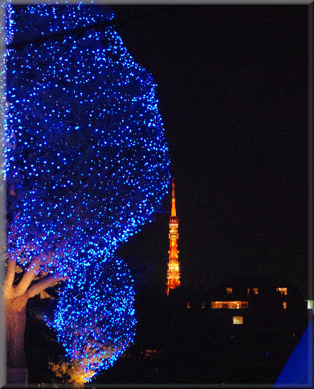 e0099375_23585669.jpg