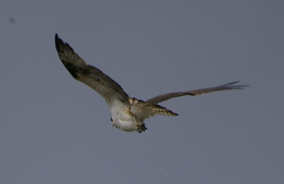 e0197884_1840457.jpg