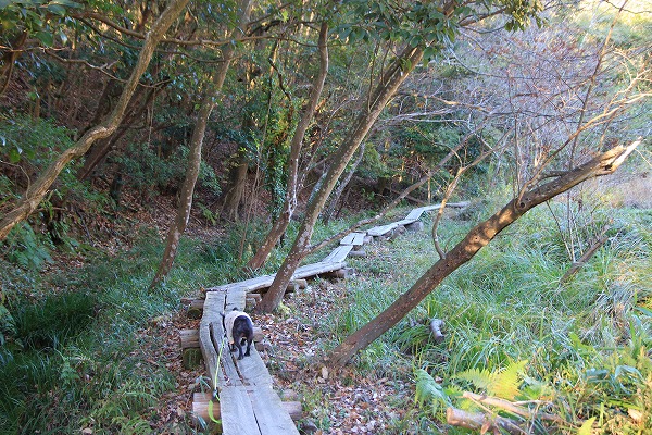 f0238184_21312962.jpg