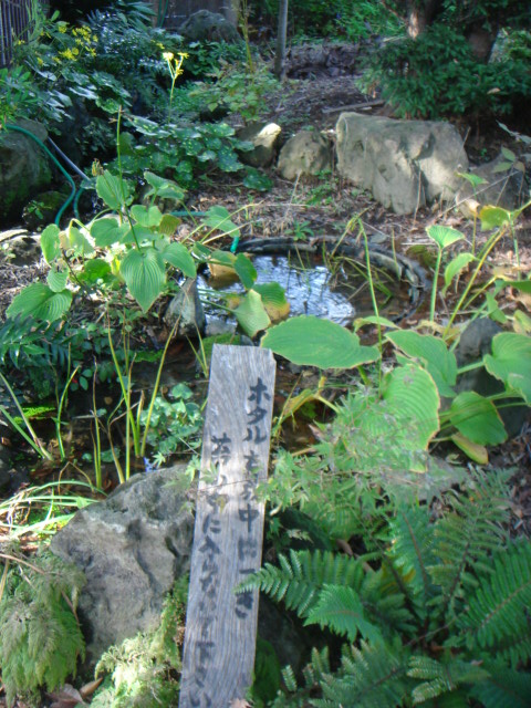 c0160089_22204030.jpg