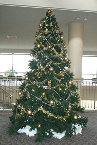 f0008692_025669.jpg