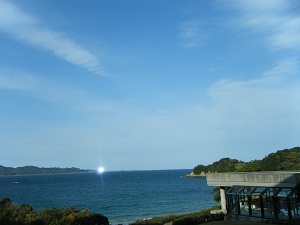f0008692_034018.jpg