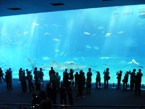 f0029393_428295.jpg