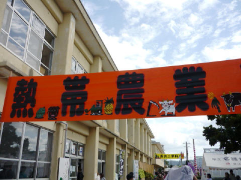 f0029393_4283492.jpg