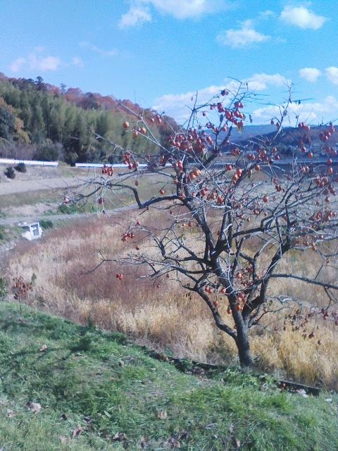 d0055397_7484931.jpg