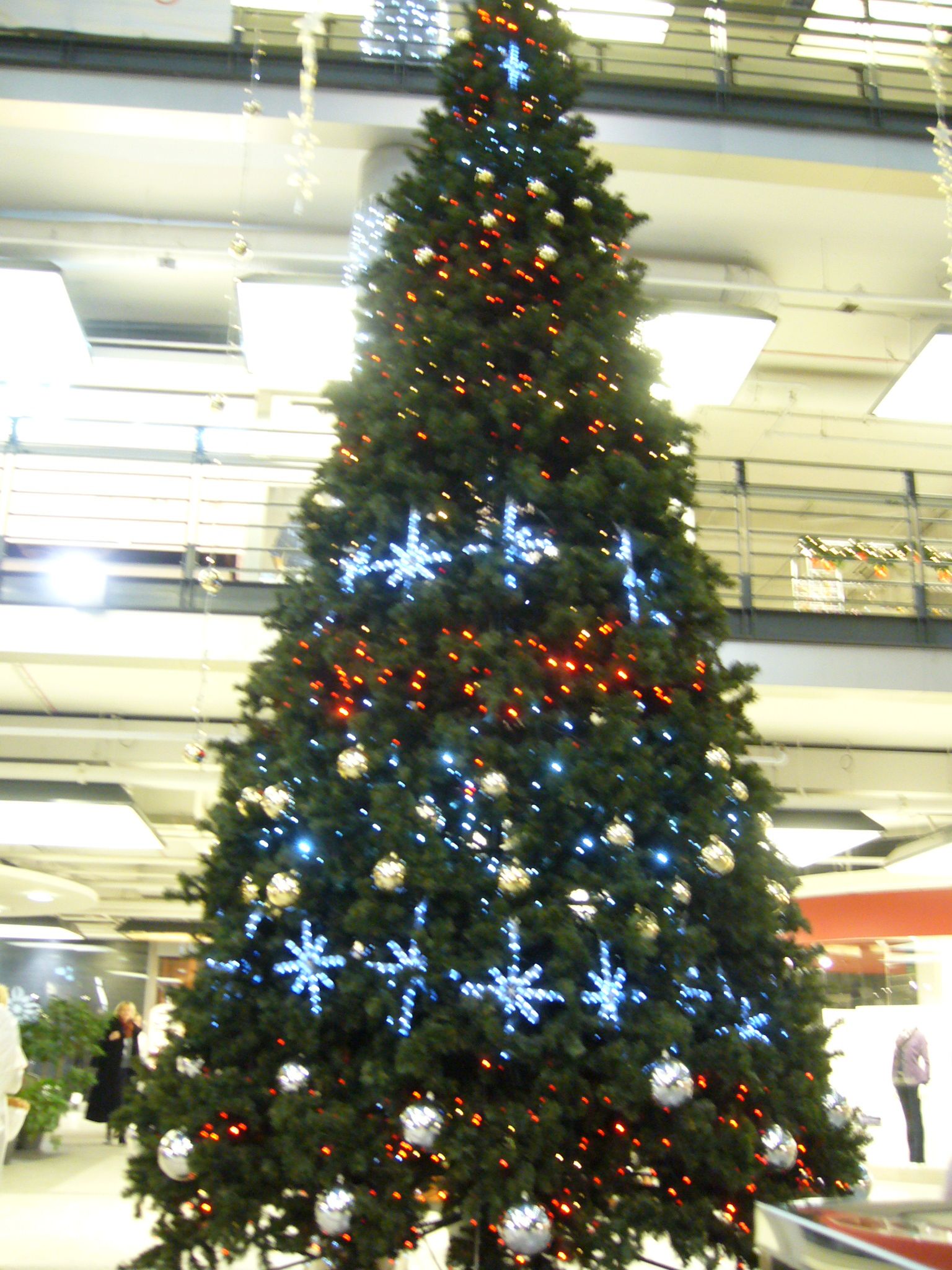 f0169397_220153.jpg