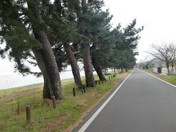 c0187298_21583945.jpg