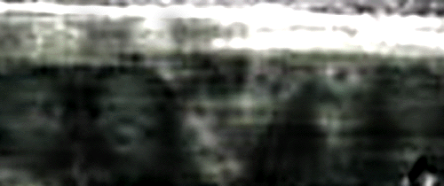 e0103408_310414.gif