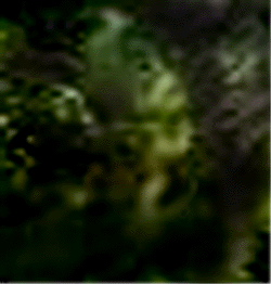 e0103408_314827.gif