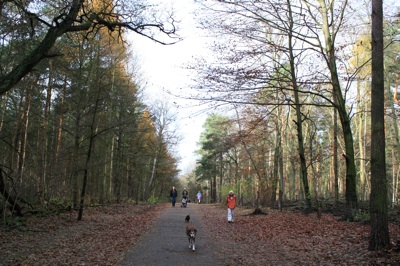 e0038811_20134067.jpg