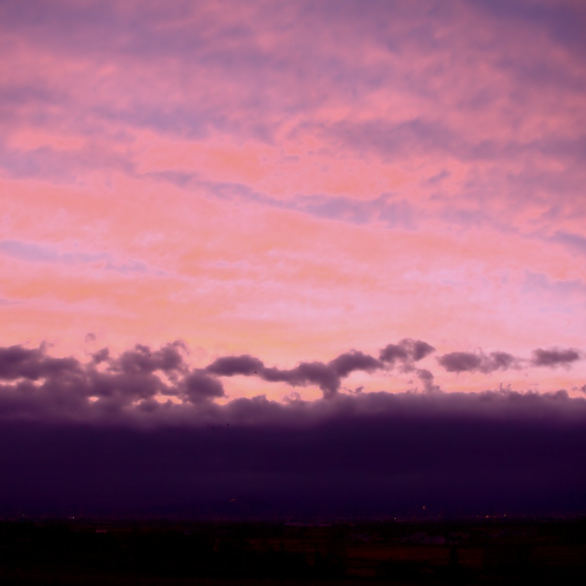 e0142611_1131487.jpg