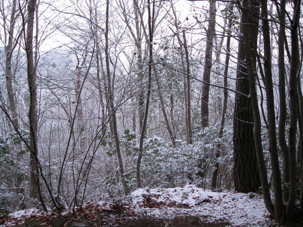 c0218213_15145877.jpg