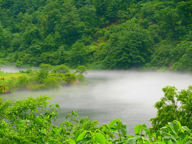 d0205917_4365197.jpg