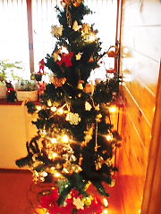 a0111618_16493622.jpg