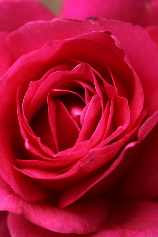 b0165522_8511247.jpg