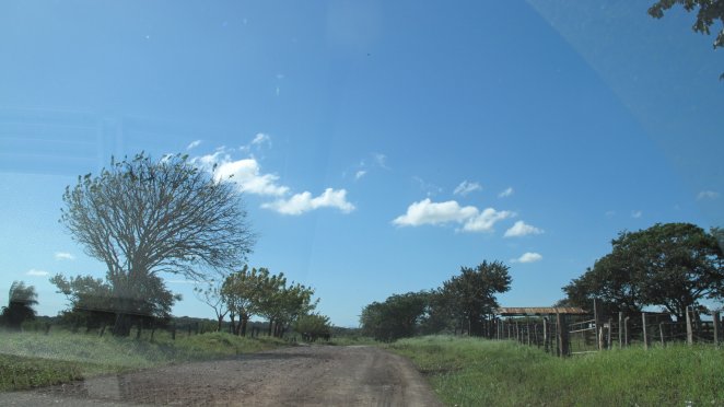 b0176023_420263.jpg