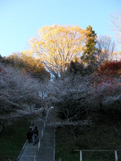 e0107725_8145317.jpg