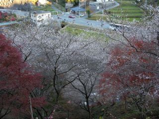 e0107725_815159.jpg