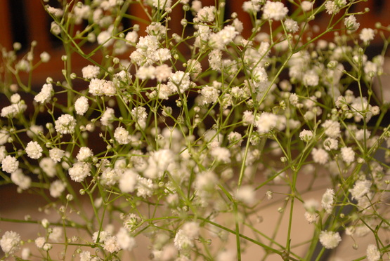 f0238332_12472884.jpg