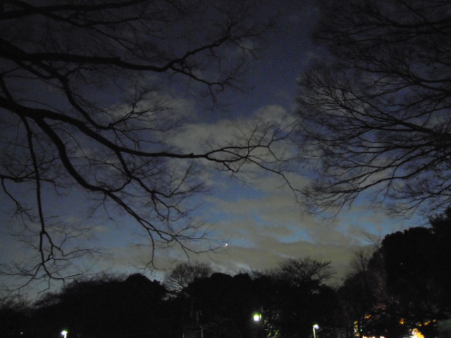 e0081334_019477.jpg