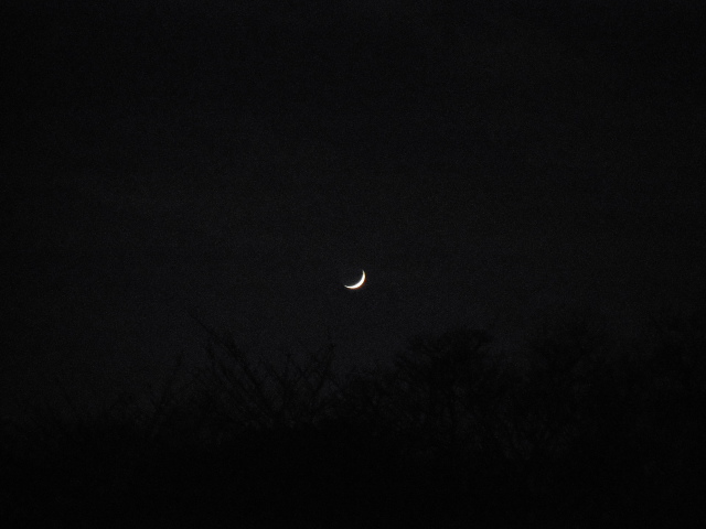 e0081334_0265760.jpg