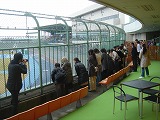 f0167635_5254445.jpg