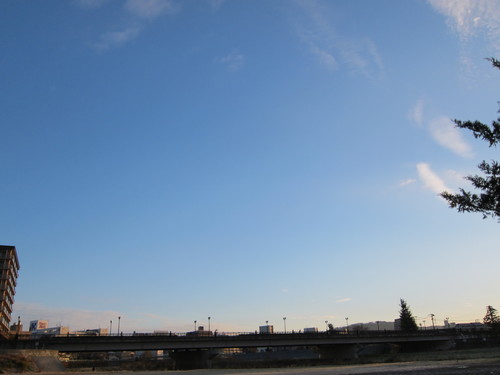d0156438_859443.jpg