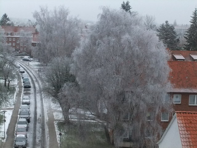 f0210340_2505834.jpg