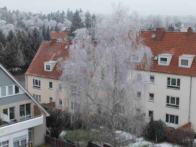 f0210340_255426.jpg