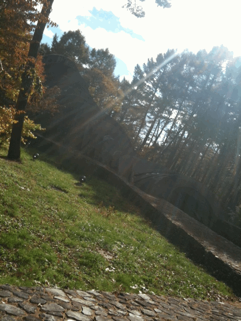 e0187341_1859886.gif