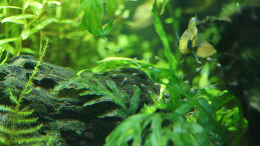 b0202747_23115100.jpg