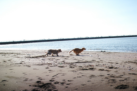 f0044853_21454622.jpg