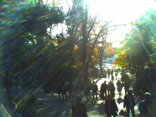 c0063556_22465740.jpg