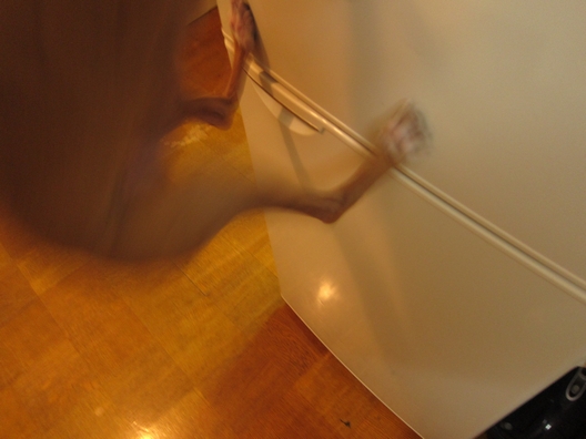 f0158862_20432511.jpg