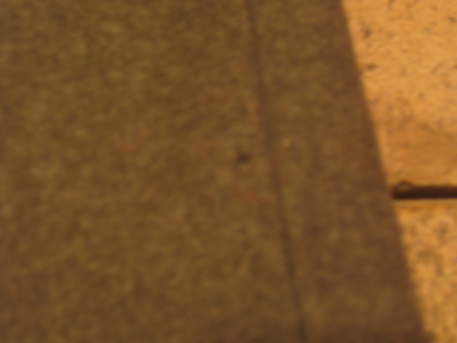 a0108963_2046396.jpg