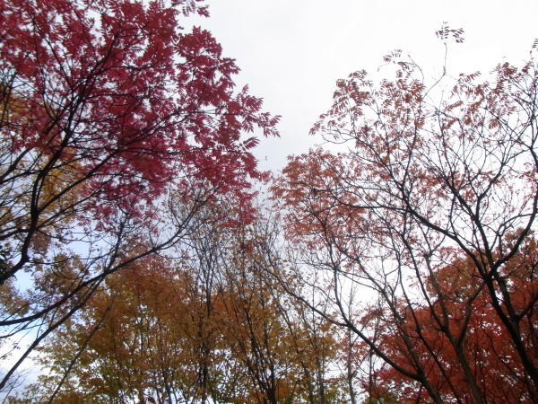 e0153367_20121523.jpg