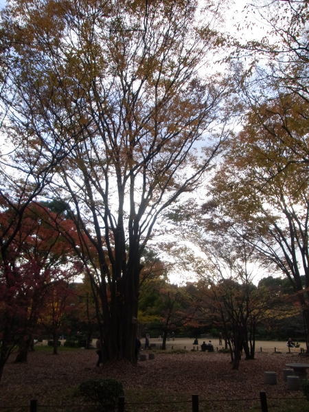 e0153367_20125182.jpg