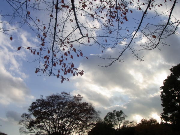 e0153367_201366.jpg