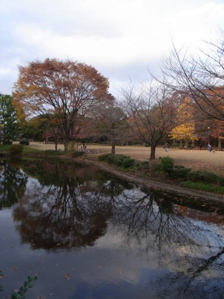 e0153367_20162850.jpg