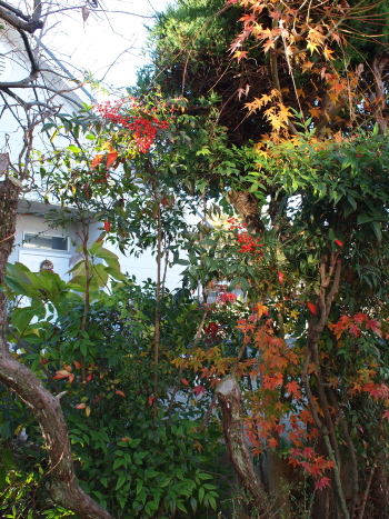 d0163670_23221499.jpg