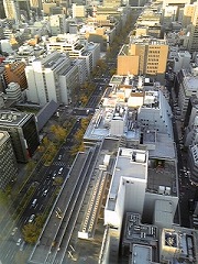 f0101871_1110381.jpg
