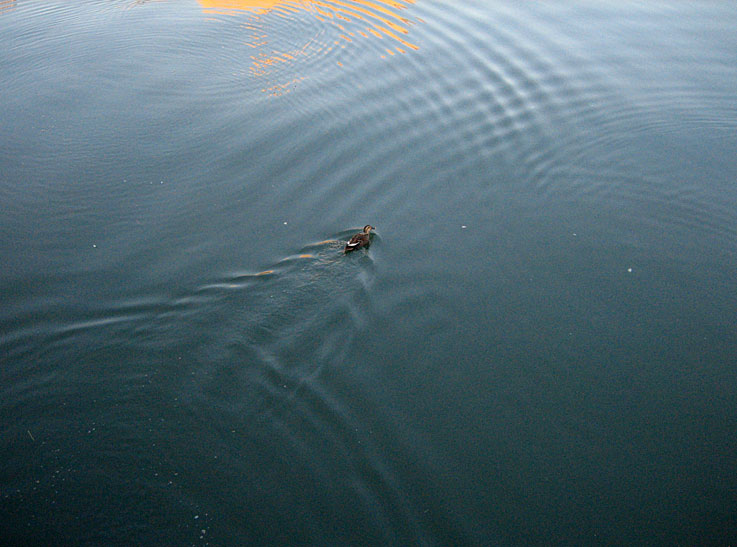 b0057679_8442957.jpg