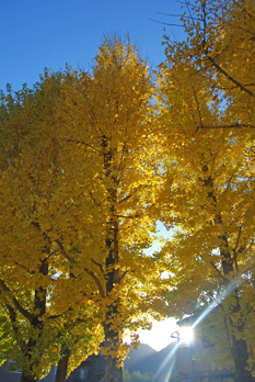 a0062983_14402374.jpg